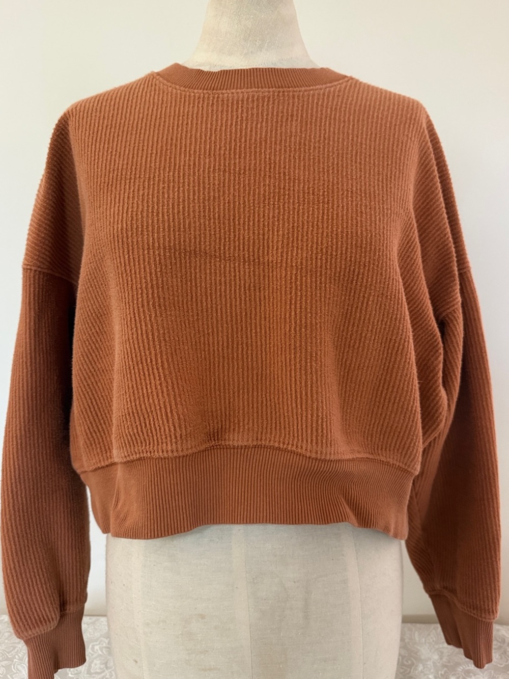 aerie Cropped Crewneck Sweater in Rust Orange